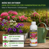 Blumenglück Düngezeitraum März bis Oktober – ideal in Wachstums- und Blühphase