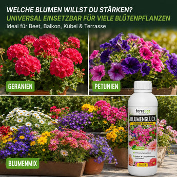 Blumenglück universal einsetzbar für Geranien, Petunien und Blumenmix