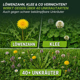 Ein Rasen mit Nahaufnahmen von Löwenzahn, Klee und über 40 Unkrautarten. Der deutsche Text bewirbt TerraUno Flüssiger Unkrautvernichter zur effektiven Bekämpfung von Löwenzahn, Klee und anderen hartnäckigen Unkräutern.