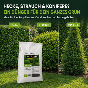 Ein Beutel „TerraUno Heckenstark – Hecken-, Strauch-  Koniferendünger“ liegt auf dem Rasen vor einer Hecke, einem Strauch und einer Konifere. Grüne Etiketten kennzeichnen die jeweiligen Pflanzen. Oben empfiehlt der Text diesen Dünger für Hecken, Sträucher und Koniferen.