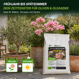Anwendungszeitraum Mittelmeertraum: Düngung von Frühjahr bis Spätsommer für Oliven und Oleander
