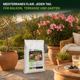 Mediterranes Flair auf der Terrasse mit gesunden Oliven- und Oleanderpflanzen – TerraUno Mittelmeertraum