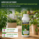 Pflanzenglück Düngezeitraum März bis Oktober für kräftiges Pflanzenwachstum