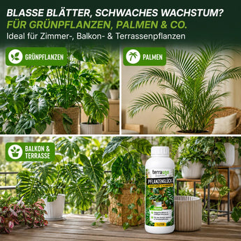 Pflanzenglück universal für Grünpflanzen, Palmen sowie Balkon- und Terrassenpflanzen