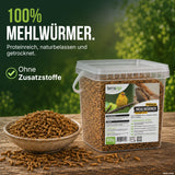 100 % getrocknete Mehlwürmer ohne Zusatzstoffe in der Schale neben dem TerraUno 900-g-Eimer