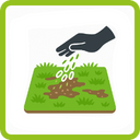 Illustration einer behandschuhten Hand, die Samen auf einen Flecken kahlen Bodens auf einer Rasenfläche streut, was darauf hindeutet, dass der Rasen nachgesät oder mit Grassamen bepflanzt werden soll.