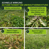 Vier Bilder veranschaulichen den Prozess der Unkrautbekämpfung: die Vorbereitung des Bodens, die Anwendung von „TerraUno Unkrautvernichter mit Rasendünger – Angebot“, das Absterben des Unkrauts nach 3 Tagen und ein üppiger, grüner Rasen – „Rasen unkrautfrei“ – nach 14 Tagen. Der deutsche Text beschreibt die einzelnen Schritte und hebt hervor, wie Sie mit TerraUno in 14 Tagen einen unkrautfreien Rasen erzielen können.