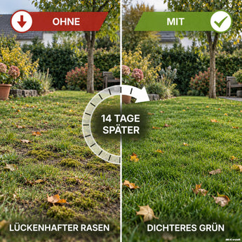Eine geteilte Ansicht eines Rasens: Die linke Seite mit der Beschriftung „OHNE“ zeigt lückenhaftes Gras, während die rechte Seite mit der Beschriftung „MIT“ dichteres, grüneres Gras aufweist – dank TerraUno Rasenretter  Vertikutiermix für eine effektive Rasenregeneration. Der Text in der Mitte lautet „14 TAGE SPÄTER“.