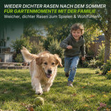Ein kleiner Junge rennt einem Golden Retriever hinterher, der auf einem saftig grünen Rasen in einem sonnigen Garten mit einem Tennisball spielt. Der Rasen wurde gerade mit TerraUno Rasenretter  Vertikutiermix aufgefrischt; im Hintergrund sind Bäume und ein Schuppen zu sehen.