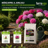 Düngezeitpunkt Rhododendren: 1. Düngung im Frühjahr März/April, 2. Düngung im Sommer Juni/Juli