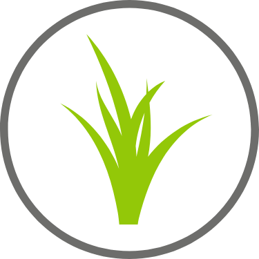 Ein einfaches grünes Gras-Symbol mit Grashalmen, eingeschlossen in einem grauen kreisförmigen Rahmen auf einem hellgrauen Hintergrund.