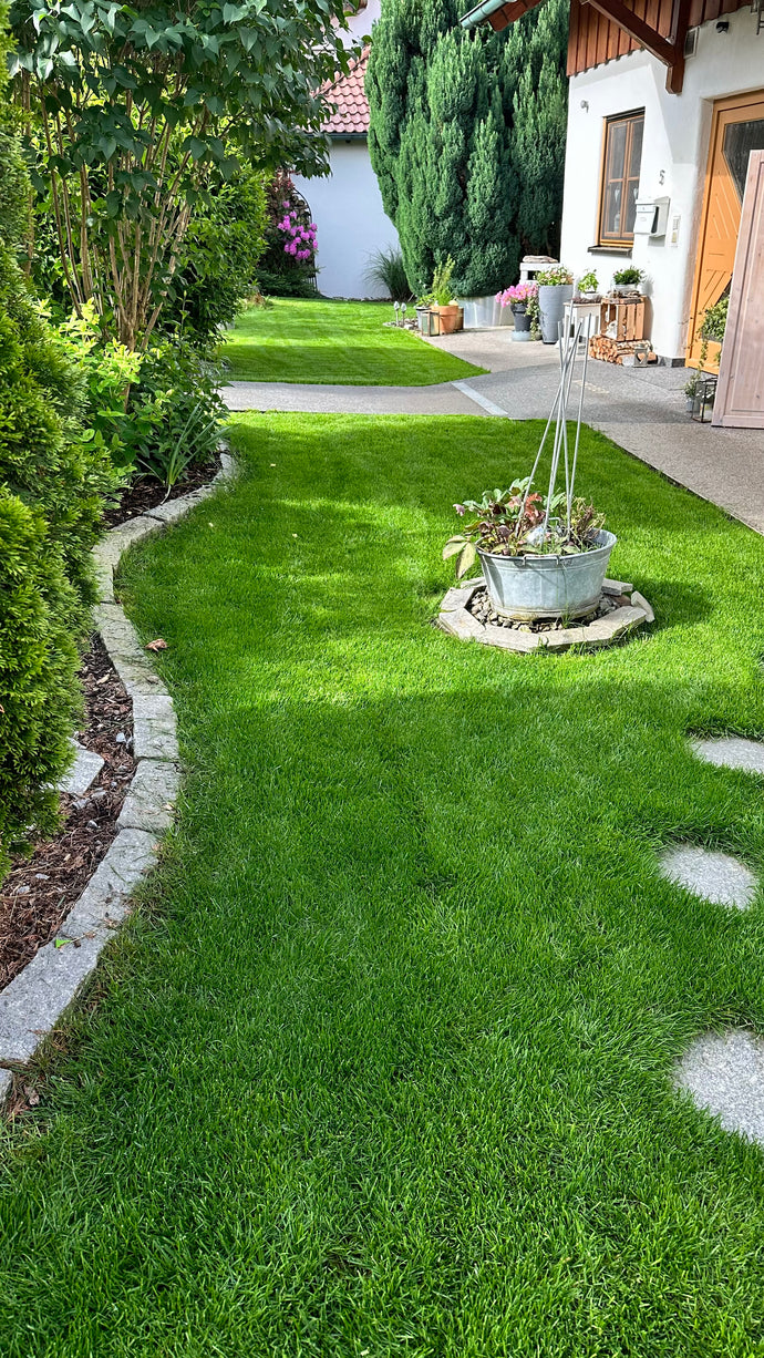 Ein gepflegter grüner Rasen mit einer geschwungenen Steineinfassung, ein kleiner runder Pflanzkübel mit Blumen in der Mitte und ein Haus mit Veranda und Garten im Hintergrund. Bäume und Sträucher säumen den Gehweg.