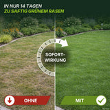 Hier ist eine überarbeitete Version Ihres Satzes unter Verwendung der bereitgestellten Produktdaten: Ein in zwei Teile geteilter Rasen: Die linke Seite ist braun und lückenhaft und mit „OHNE“ beschriftet, während die rechte Seite grün und üppig ist und die Aufschrift „MIT TerraUno Speed Rasendünger N24 / SSA“ trägt. Darüber steht der Text „IN NUR 14 TAGEN ZU SAFTIG GRÜNEM RASEN“. Ein Pfeil mit der Aufschrift „SOFORTWIRKUNG“ veranschaulicht, wie schnell Sie Ihren Rasen düngen können.