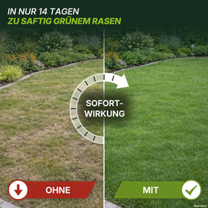 Hier ist eine überarbeitete Version Ihres Satzes unter Verwendung der bereitgestellten Produktdaten: Ein in zwei Teile geteilter Rasen: Die linke Seite ist braun und lückenhaft und mit „OHNE“ beschriftet, während die rechte Seite grün und üppig ist und die Aufschrift „MIT TerraUno Speed Rasendünger N24 / SSA“ trägt. Darüber steht der Text „IN NUR 14 TAGEN ZU SAFTIG GRÜNEM RASEN“. Ein Pfeil mit der Aufschrift „SOFORTWIRKUNG“ veranschaulicht, wie schnell Sie Ihren Rasen düngen können.