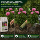 Anwendung der TerraUno Bio Hornspäne in 3 Schritten: streuen, einarbeiten, angießen