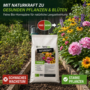 Vorher-Nachher-Vergleich: schwaches Wachstum gegenüber starken Pflanzen mit TerraUno Bio Hornspänen