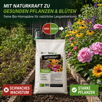 Vorher-Nachher-Vergleich: schwaches Wachstum gegenüber starken Pflanzen mit TerraUno Bio Hornspänen