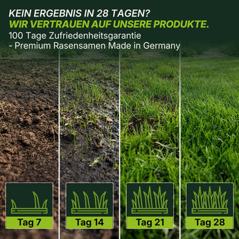 Vier vertikale Tafeln zeigen das Graswachstum mit TerraUno Rasensamen - Nachsaat, Reparatur und Neuanlage: vom nackten Boden am 7. Tag zum üppigen Rasen am 28. Tag. Der deutsche Text hebt die hochwertige Saatgutqualität und die Zufriedenheitsgarantie hervor.