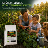 Vorher-Nachher: Schwaches Wachstum vs. reiche Tomatenernte durch TerraUno Ernteglück BIO-Gemüsedünger