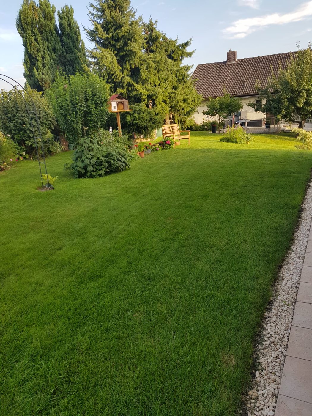 Claudias Garten in Ruhstorf mit dichtem, grünem Rasen