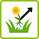 Illustration einer gelben Blume mit Wurzeln, die von grünem Gras nach oben gezogen werden, begleitet von einem schwarzen Pfeil nach oben, alles innerhalb eines grün umrandeten Quadrats.