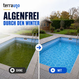 Vorher-Nachher-Vergleich: grüner Pool ohne und kristallklarer Pool mit TerraUno Pool Wintermittel